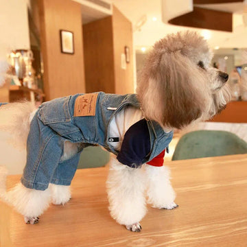 Denim Pet Overalls for French Bulldogs β Stylish Jean Jumpsuit for Small & Medium Dogs